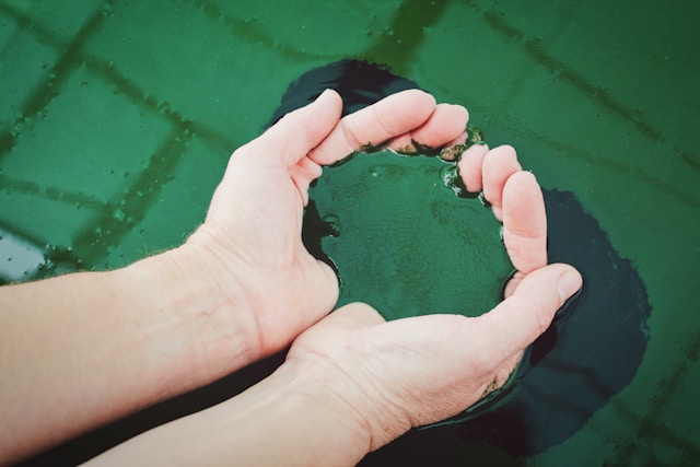 알레르기 반응
